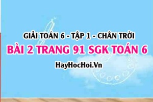 Giải bài 2 trang 91 Toán 6 Tập 1 SGK Chân trời sáng tạo
